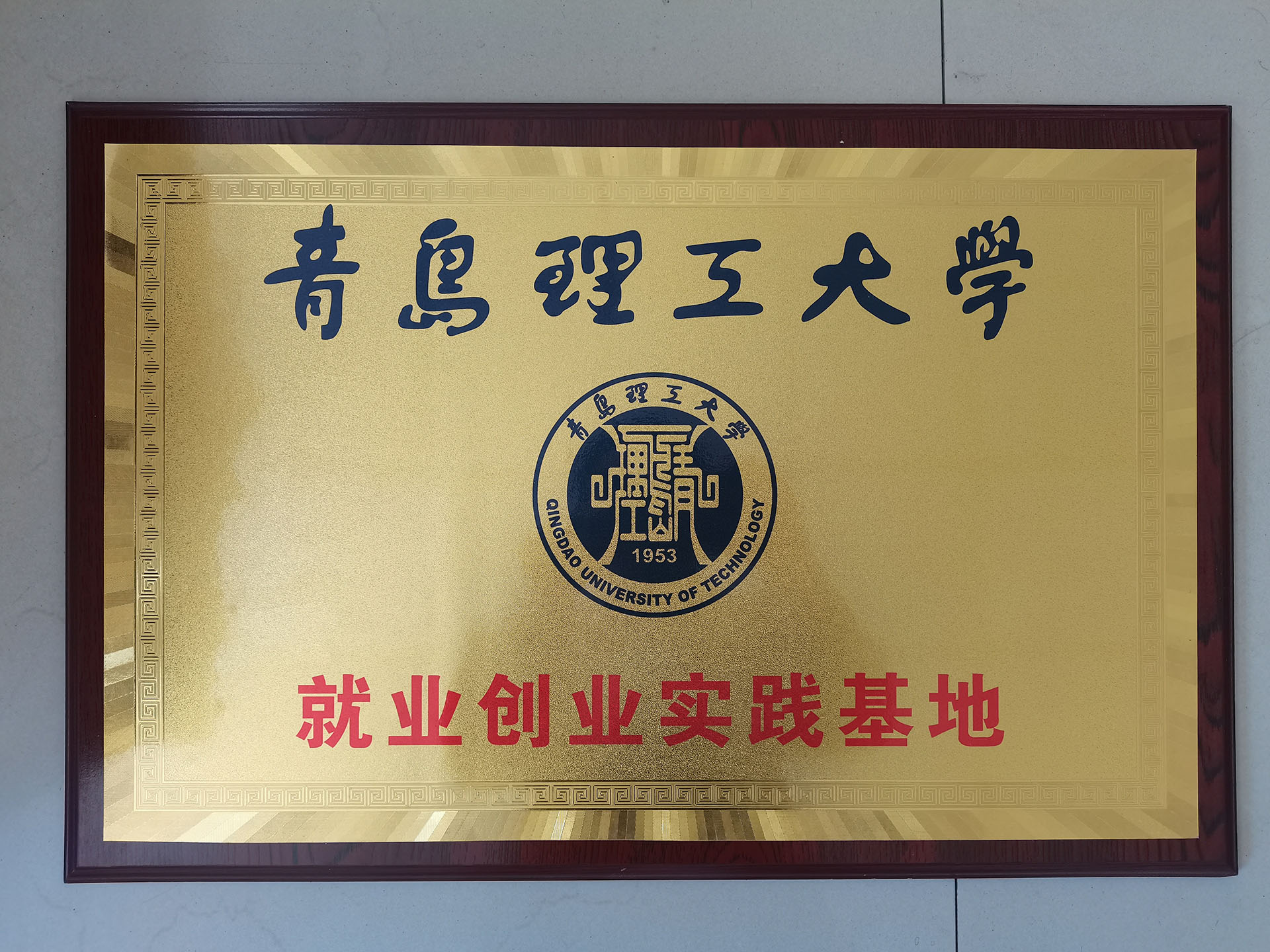 1667273974350152.jpg 青島理工大學(xué)就業(yè)基地-新聞圖.jpg